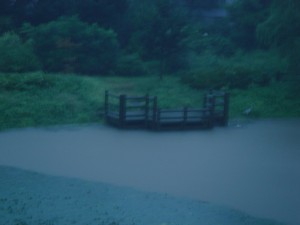 明け方の豪雨で飛鳥沼水位上昇