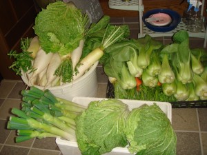 東京の娘たちに送る野菜です