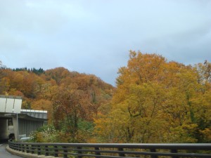 間もなく冬を迎える深山の美しい紅葉