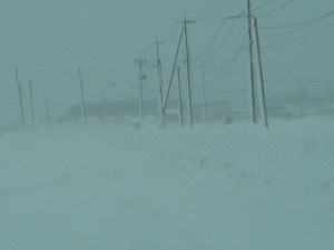 今年の冬は雪が解ける暇がありません。毎日吹雪吹雪、あれ？井上陽水の歌みたいですね