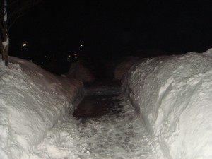 飛鳥地区の歩道が雪でこんな状況になるのは記憶にありません