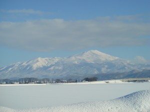 今日は久しぶりの気持ちよい天気でした。鳥海山が輝いていました