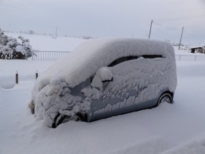 朝外を見ると驚きの積雪でした