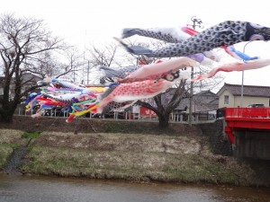 遊佐町で見つけた春、街宣車の窓から