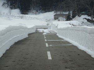 八幡地域升田地区の春はまだまだのようです