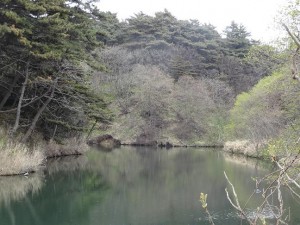 かつては多くの水鳥が生息していた溜池