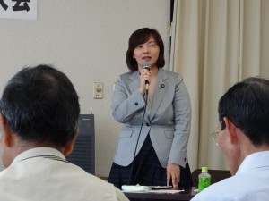 民主党3区総支部代表和嶋未希衆議院議員あいさつ