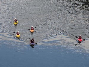 透き通る四万十の水面を優雅に下るカヌーイストたち