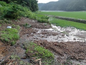 土砂崩れで田んぼが壊滅的状況