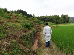 山の斜面が土砂崩れして田んぼに流出