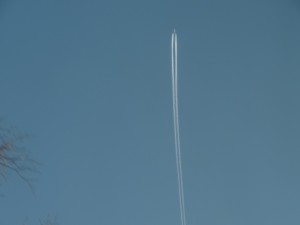 抜けるような青空に飛行機雲がきれいです