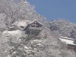 山形駅から仙山線にて仙台駅へ向う途中、山寺駅からの景色です。心が洗われる気がしました。