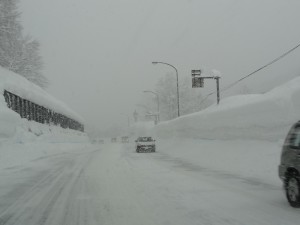 今年の冬は本当に豪雪です。月山新道の雪の壁には恐怖を感じます