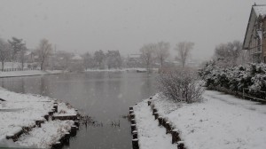 我が家の脇にある飛鳥沼が真冬の風景に戻ってしまいました