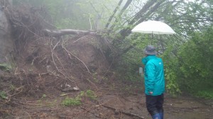 雪解けが原因なのか田沢川ダム上流の林道が土砂崩れ