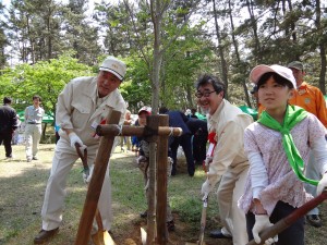 やまがた森の感謝祭にて庄内砂丘林にやまぼうしを植樹