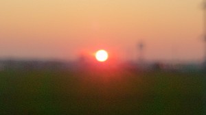 19時過ぎ帰路に就いた時、西の空を染める夕陽の赤が菅原元町長のほほえみのように感じられました