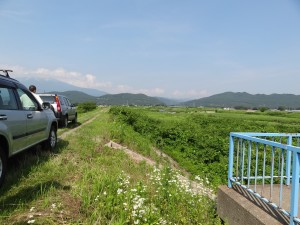 地域の皆様方が県管理堤防の草刈りを実施してくれていました