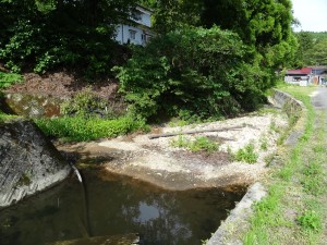 土砂が堆積して川をせき止めている状況、豪雨時には道路に冠水の恐れ