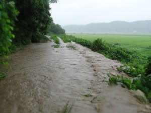 昨年の8月18日南田沢集落内庄内水沢川が氾濫し右側にある道路は見えなくなった
