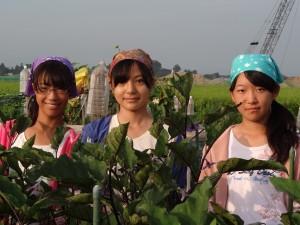 畑では茄子の収穫から始めました