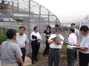 伊達市内の野菜栽培農家にてバイオマス燃料システム調査